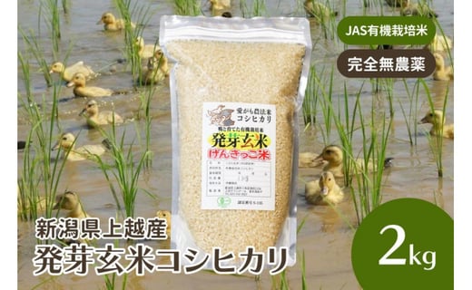 数量限定 DsR様専用 農薬無し純こしひかり30㎏ 玄米 米