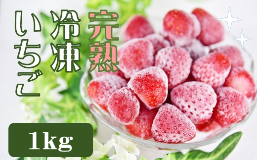 予約受付】冷凍イチゴ2kg（2020年第31回静岡県いちご果実品評会入賞