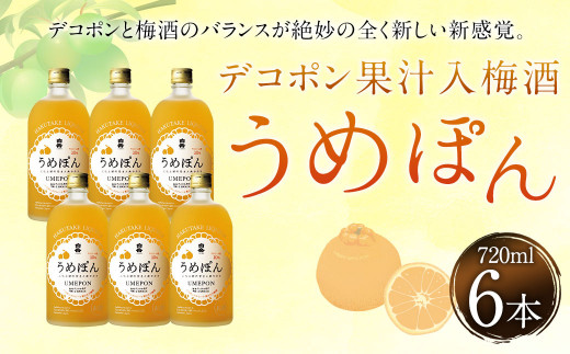 デコポン果汁入 梅酒「うめぽん」 6本セット  (28-1058)