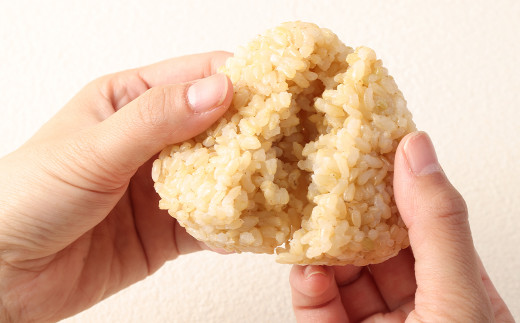 【年6回定期便・奇数月のお届け】 きらほ 玄米 冷凍 おにぎり 合計16.2kg  (90g×30個)×6回