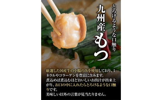 いろはのもつ鍋セット 2~3人前 株式会社いろは《30日以内に順次出荷(土日祝除く)》福岡県 鞍手郡 鞍手町 もつ鍋 あごだし 味噌 九州産 牛小腸  もつ 鍋 うどん