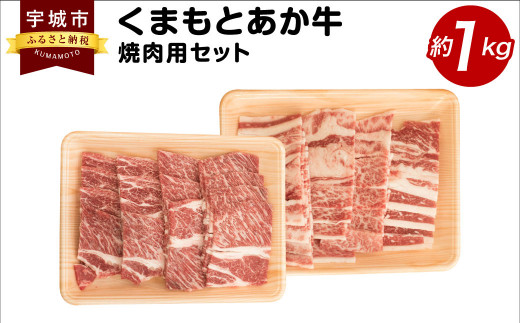 くまもとあか牛 焼肉用 セット 合計約1kg カルビ 肩ロース 和牛 牛肉 547836 - 熊本県宇城市