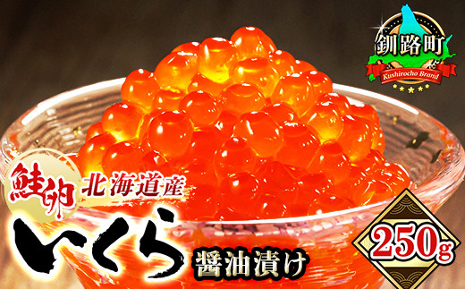 いくら醤油漬け 250g ×1箱 小分け | 国産 北海道産 いくら いくら醤油漬け イクラ ikura 天然 鮭 サーモン 鮭卵 鮭いくら いくら醬油漬け 北海道 釧路町 笹谷商店 直営 釧之助本店 10000円 以下 人気の 訳あり!バレンタイン ひな祭り にも最適