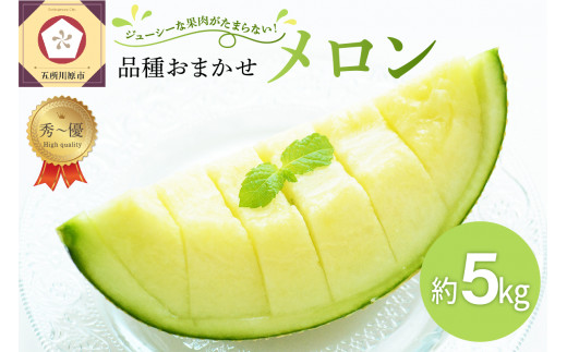 【2023年先行予約】メロン 約 5kg 秀～優 7月 8月 ( 青肉 3～6玉 ）【選べる配送時期】【 津軽産 青森 緑肉 青肉メロン 】