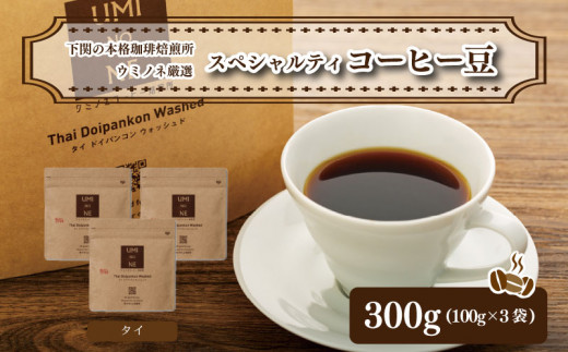 スペシャルティ コーヒー豆セット タイ 300g(100g×3袋)  下関市 山口  891001 - 山口県下関市
