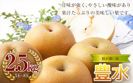 《2024年秋出荷》味が濃い梨 豊水2.5kg（5～8玉） F21R-854 598226 - 福島県白河市