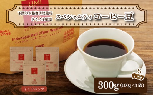 スペシャルティ コーヒー豆セット インドネシア 300g(100g×3袋)  下関市 山口  891002 - 山口県下関市