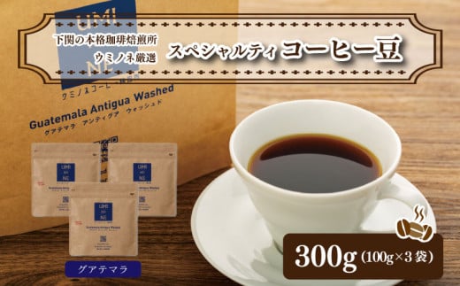 スペシャルティ コーヒー豆セット グアテマラ 300g(100g×3袋)  下関市 山口  891003 - 山口県下関市