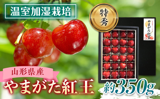 令和5年産先行受付》山形県産 温室加温栽培さくらんぼ【やまがた紅王