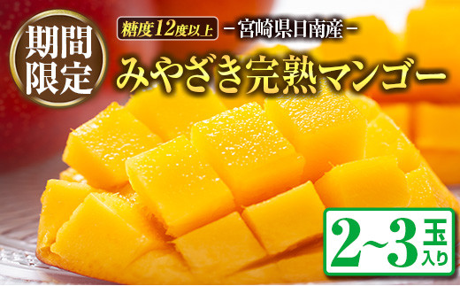 期間限定 マンゴー みやざき 完熟マンゴー 2～3玉 フルーツ 果物 国産