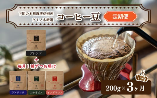 スペシャリティ コーヒー豆 定期便 200g×3回 下関市 山口