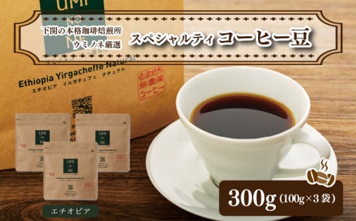 スペシャルティ コーヒー豆セット エチオピア 300g(100g×3袋)  下関市 山口  891000 - 山口県下関市