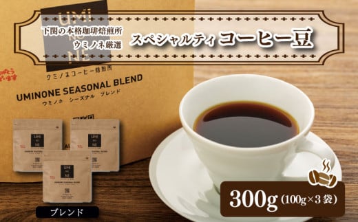 スペシャルティ コーヒー豆セット ブレンド 300g(100g×3袋)  下関市 山口  891004 - 山口県下関市