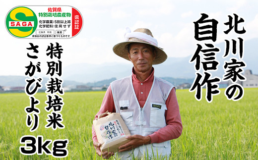 特別栽培米「さがびより」北川農産（3kg） 令和5年度産 - 佐賀県小 ...