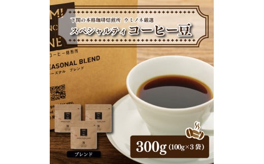 スペシャルティ コーヒー豆セット ブレンド 300g(100g×3袋) 下関市 ...