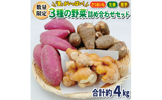 3種の野菜 詰め合わせ セット 4kg さつまいも しょうが 里芋 3種類 各月50セット限定 発送期間: 1月上旬~2月下旬