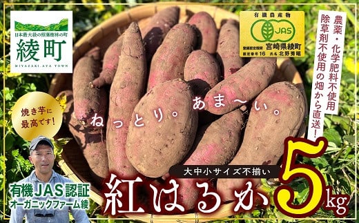 [有機JAS] 紅はるか 5kg さつまいも 甘藷 無農薬 オーガニック [サイズ不揃い] 訳あり