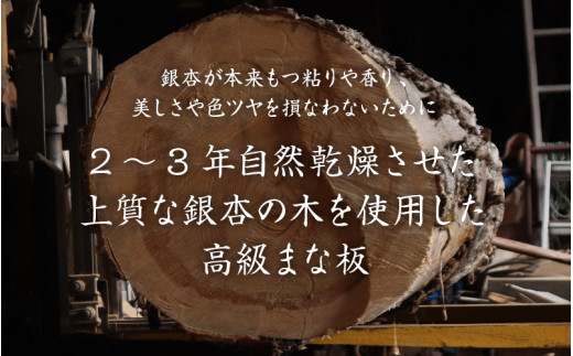 一点物】恐竜のまち福井県勝山市の風土に育まれた 日本製高級国産