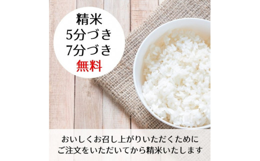 新米 令和5年産 京都 丹波産 こしひかり 玄米 10kg（5kg×2袋）≪5つ星