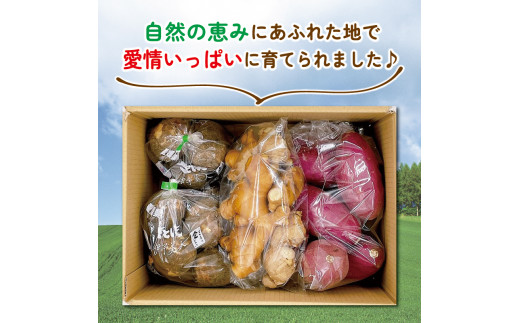 3種の野菜 詰め合わせ セット 4kg さつまいも しょうが 里芋 3種類 各