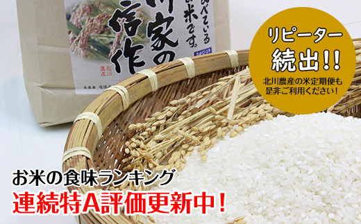 特別栽培米「さがびより」北川農産（10kg）佐賀県産 令和5年度産 令和5