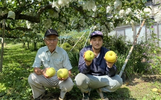 福島県白河市のふるさと納税 《2024年秋出荷》一番人気の梨 幸水 5kg（8～14玉） F21R-853