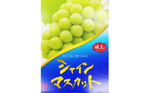 岡山県産 シャインマスカット『晴王』4房(1房480g以上・合計約2kg