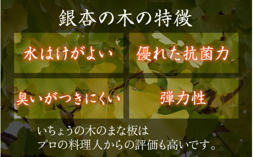 一点物】恐竜のまち福井県勝山市の風土に育まれた 日本製高級国産