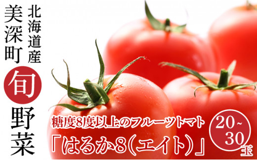 [№5894-0486]【2023年7月出荷開始先行予約】糖度8度以上 フルーツトマト はるか8（エイト）20～30玉 北海道 美深町産