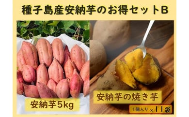  種子島産安納芋のお得セットB（安納芋5kg＋冷凍焼き芋1個入り×11袋）【焼き芋 焼芋 芋 いも やきいも  冷凍 スイーツ デザート 和菓子 おやつ さつまいも さつま芋 熟成 蜜 しっとり 甘い 安納いも 国産 鹿児島県産 種子島産 中種子町 送料無料 N154】 807409 - 鹿児島県中種子町