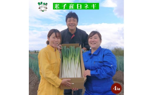 [先行予約][訳あり]鳥取県産 白ネギの4kgバラ詰め合わせ お届け:12月〜4月末