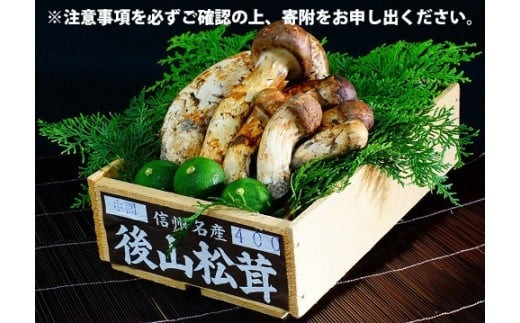 67-01【オンライン決済限定】諏訪市後山産松茸約400g（※注意