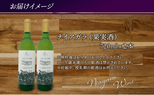 ナイアガラ ブドウ ワイン 720ml 2本 セット 葡萄 ぶどう 果実 果実酒