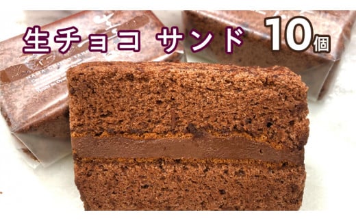 【 数量限定 】 生チョコ サンド 10個  贅沢 濃厚 スイーツ デザート ケーキ チョコレート 冷凍