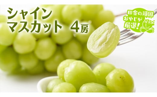 シャインマスカット 4房 【令和6年8月より発送開始】田舎の頑固おやじが厳選！ マスカット 種なし  ギフト 高糖度 大粒 甘い 美味しい フルーツ