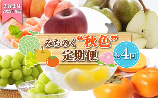 《2025年先行予約》みちのく【秋色】定期便 全4回 FSY-1883 562924 - 山形県山形県庁