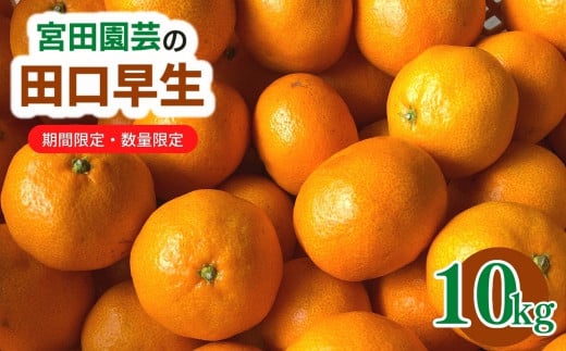 田口早生(10kg)みかん 蜜柑 フルーツ 果物 くだもの 柑橘 期間限定【112300200】【宮田園芸】 570093 - 大分県宇佐市