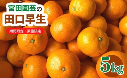 田口早生(5kg)みかん 蜜柑 フルーツ 果物 くだもの 柑橘 期間限定【112300100】【宮田園芸】 570092 - 大分県宇佐市