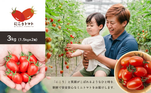 にこり トマト 3kg ＜みずもと農園＞ 571285 - 熊本県玉名市