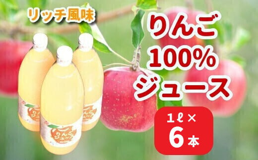 リンゴジュース リッチ風味 1L×6本 561269 - 岩手県一関市