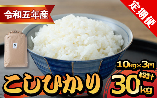 KU297 【定期便・全３回】令和５年産新米！串間産超早場米「こしひかり（10㎏×3回・総計30㎏）」【鶴田康太郎】
