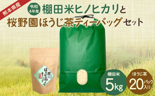 【令和4年産】棚田米 ヒノヒカリ (5kg) と 桜野園 ほうじ茶 ティーバッグ セット