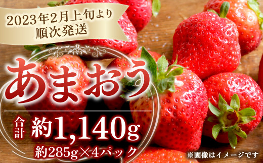 【2023年2月上旬より順次発送】 あまおう 約285g×4パック いちご 苺