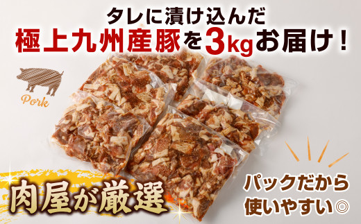 九州産豚 タレ漬け 3kg (500g×6袋) 豚肉 お肉