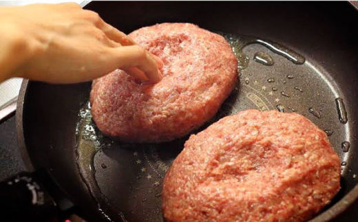 6回定期便】鉄板焼き屋自慢の ハンバーグ 食べ比べ 3種類 ソース付き