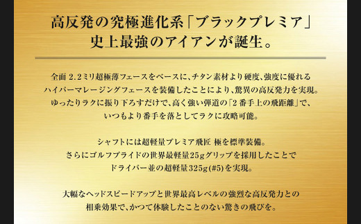 ワークスゴルフ CBRブラックプレミアアイアン 6本セット プレミア飛匠