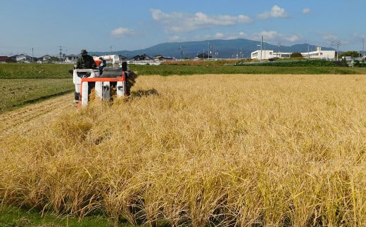 和農BARU 米味噌 500g×2個 - 福岡県小郡市｜ふるさとチョイス