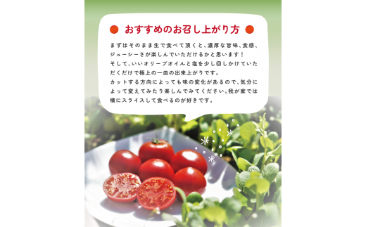 一つ一つ丁寧に丹精こめて育て、収穫されたトマトをご賞味ください！
