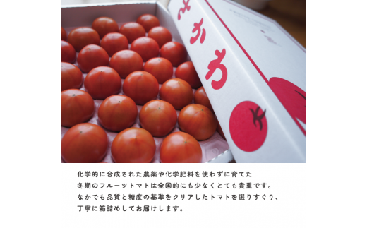 一つ一つ丁寧に丹精こめて育て、収穫されたトマトをご賞味ください！