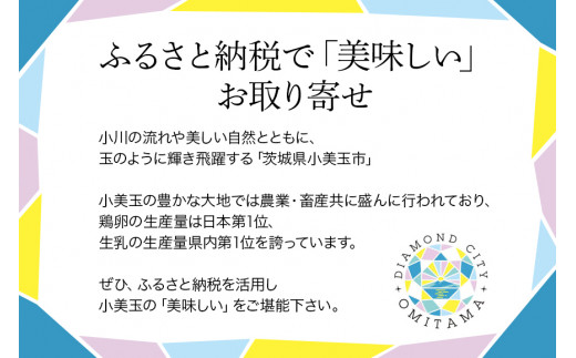 ブランド豚「ばんぶぅ」ロースブロック1本 ばんぶぅ 豚肉 ロース